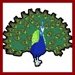PEACOCK: DOPE Bird Personality Test