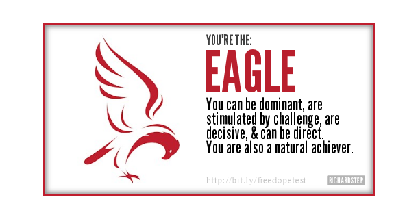 DOPE-Bird-Personality-Test-Results--EAGLE.png