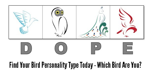The On Dope Personality Test The On Dope Personality Test