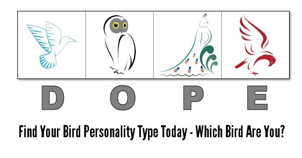 DOPE Bird 4 Personality Types Test Printable Online Version 