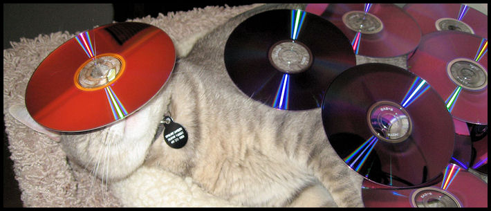 life lessons learned cat CDs richardstep