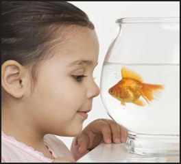 kid-girl-fishbowl-looking-curious-richardstep