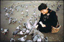 woman-feeding-birds-park-personality-richardstep